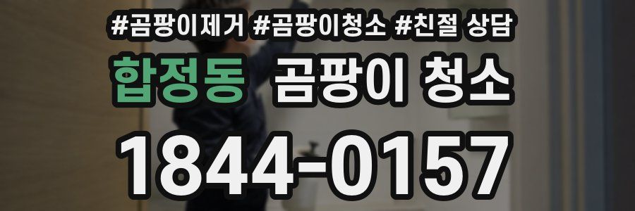 합정동 곰팡이 청소