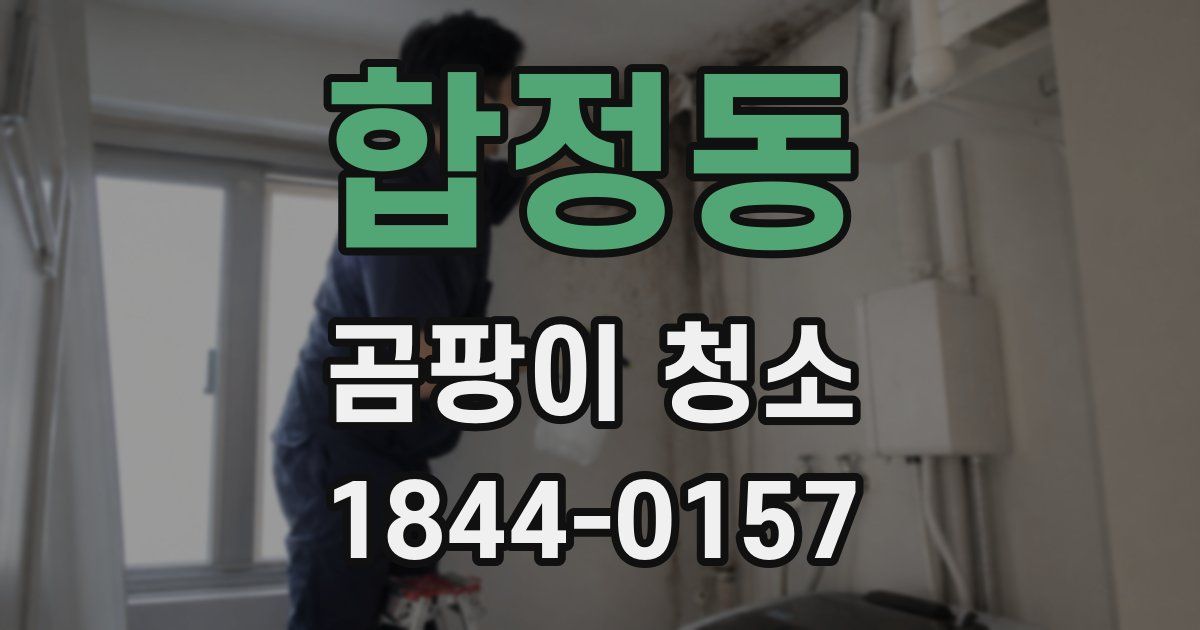 합정동 곰팡이 청소