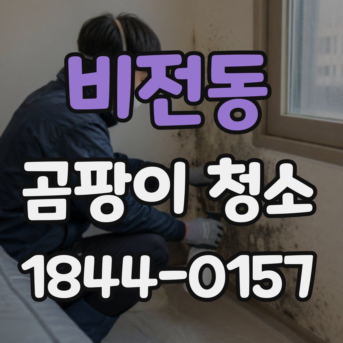 비전동 곰팡이 청소