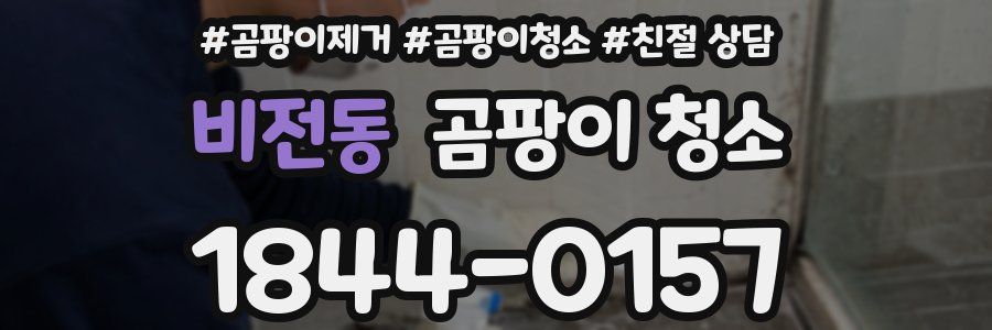 비전동 곰팡이 청소