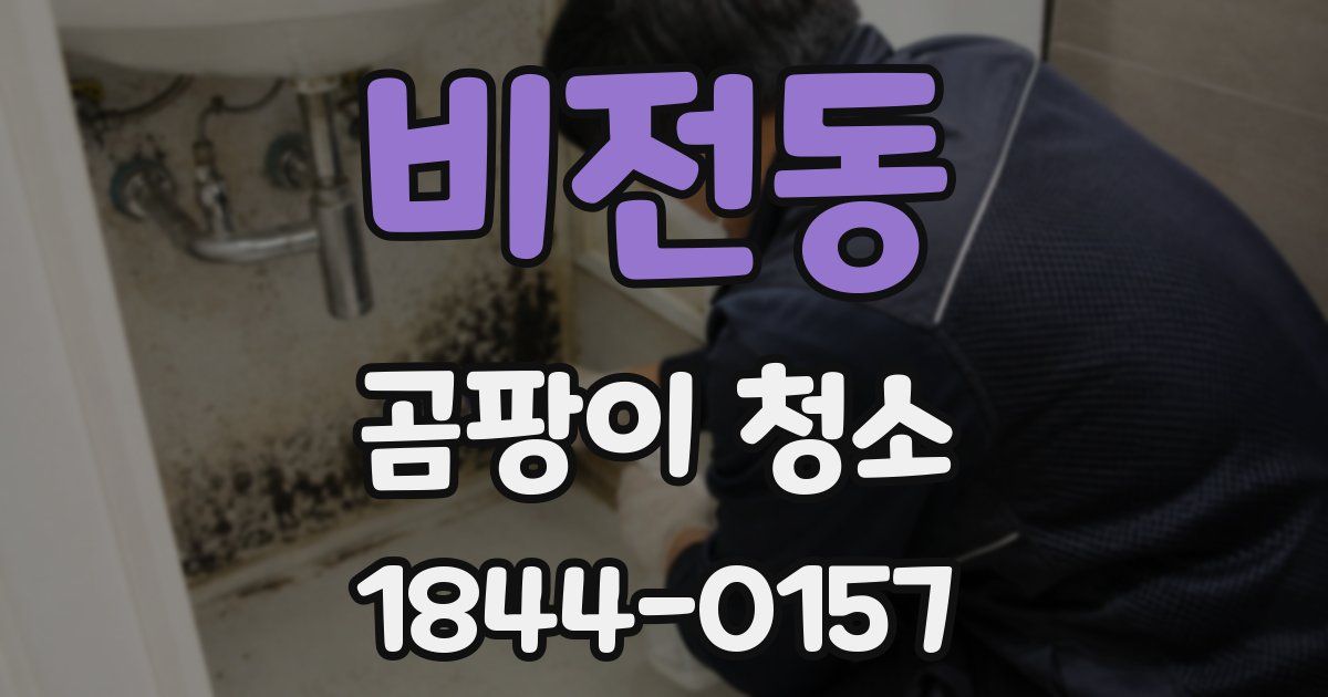 비전동 곰팡이 청소