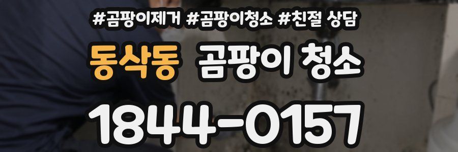 동삭동 곰팡이 청소