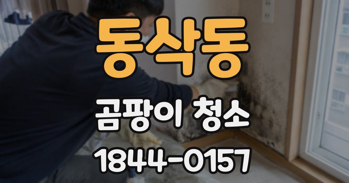 동삭동 곰팡이 청소