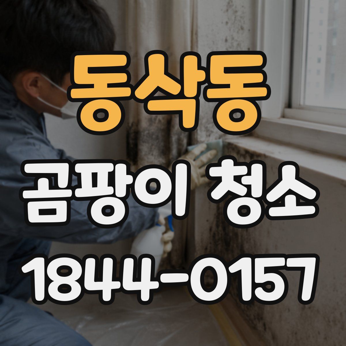 동삭동 곰팡이 청소