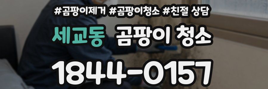 세교동 곰팡이 청소