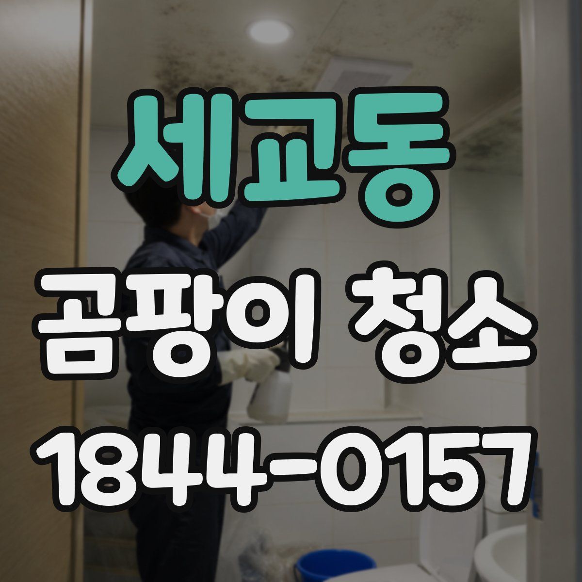 세교동 곰팡이 청소