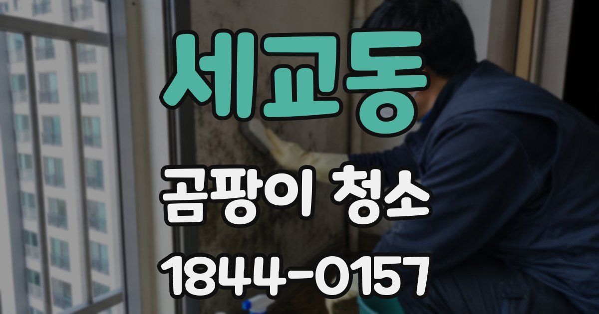 세교동 곰팡이 청소