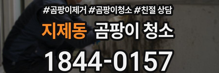 지제동 곰팡이 청소