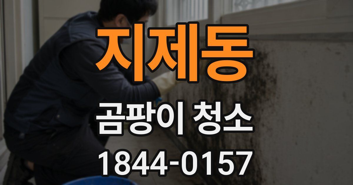 지제동 곰팡이 청소