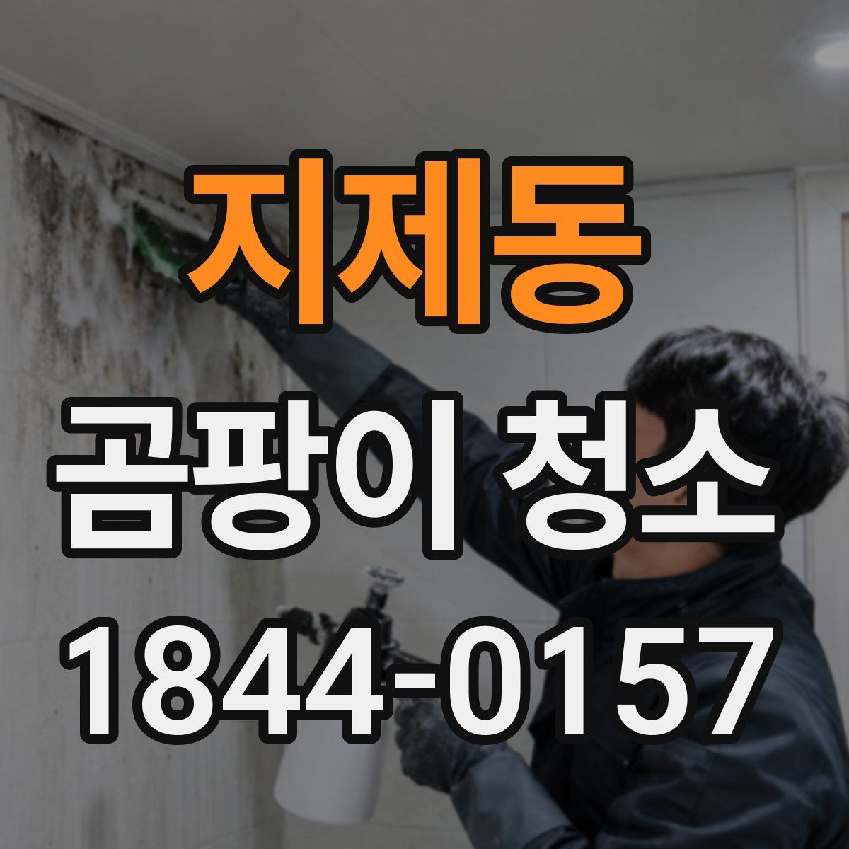 지제동 곰팡이 청소