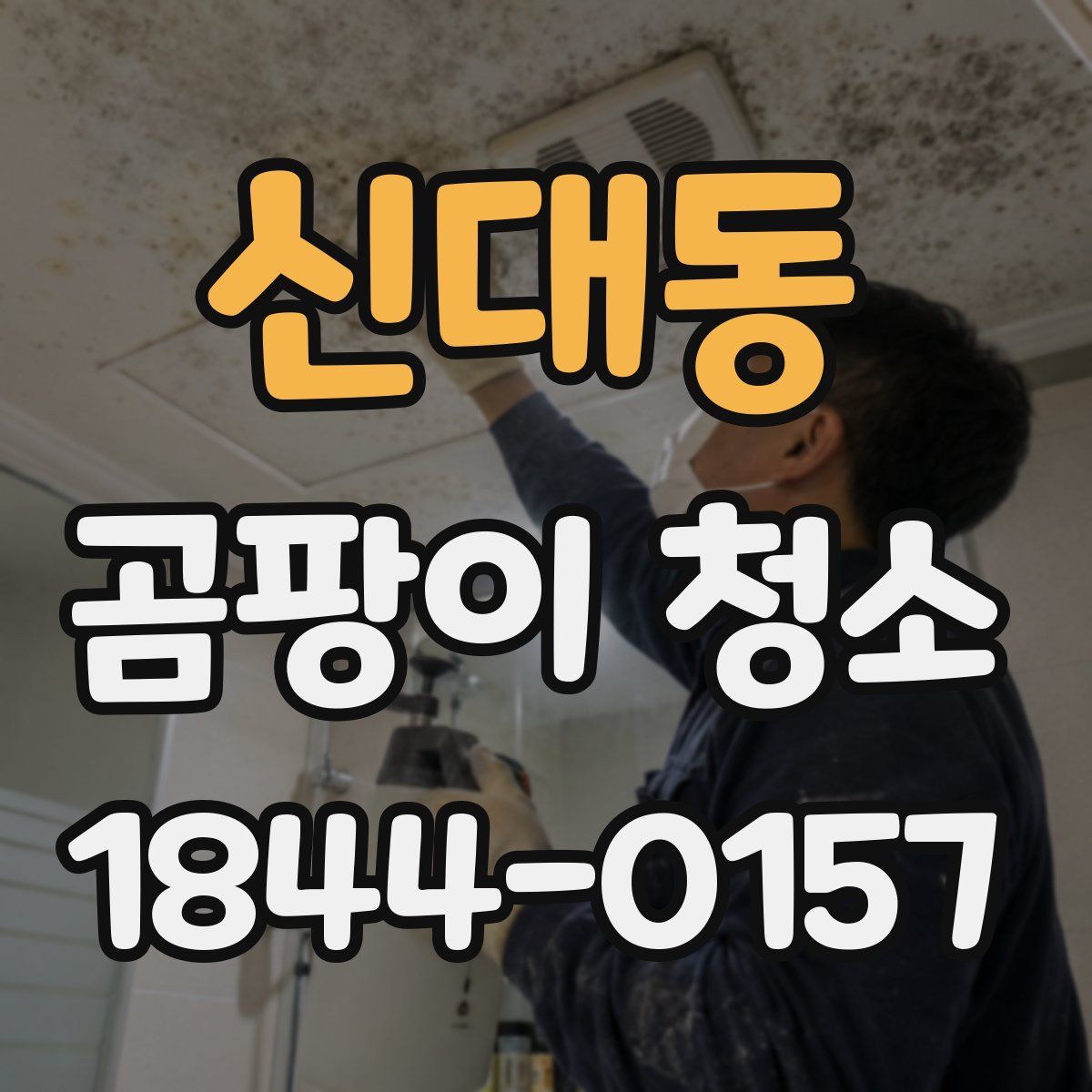 신대동 곰팡이 청소