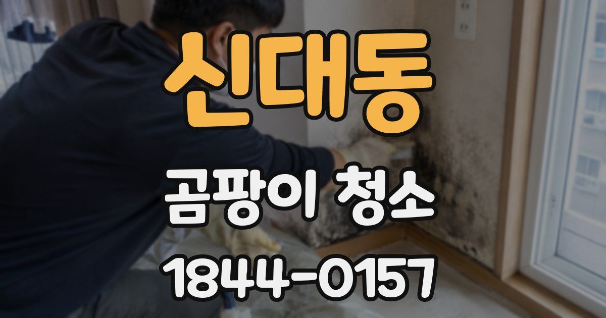 신대동 곰팡이 청소