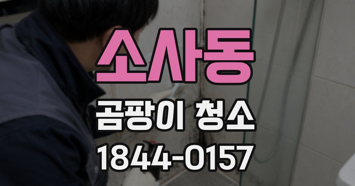 소사동 곰팡이 청소