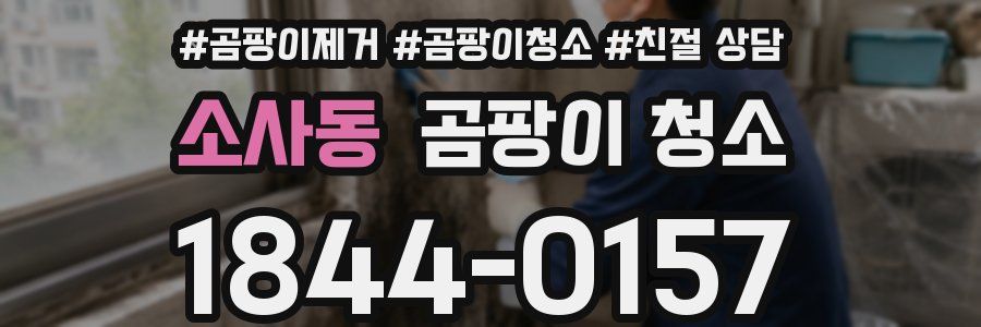 소사동 곰팡이 청소