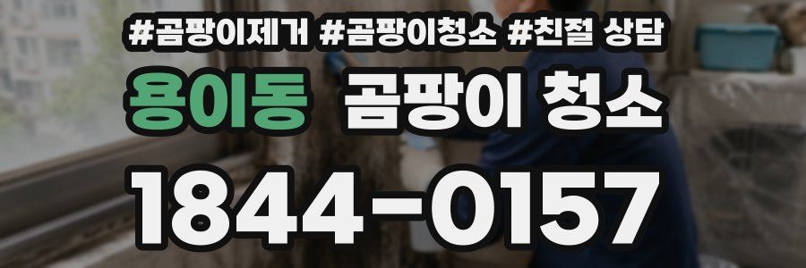 용이동 곰팡이 청소