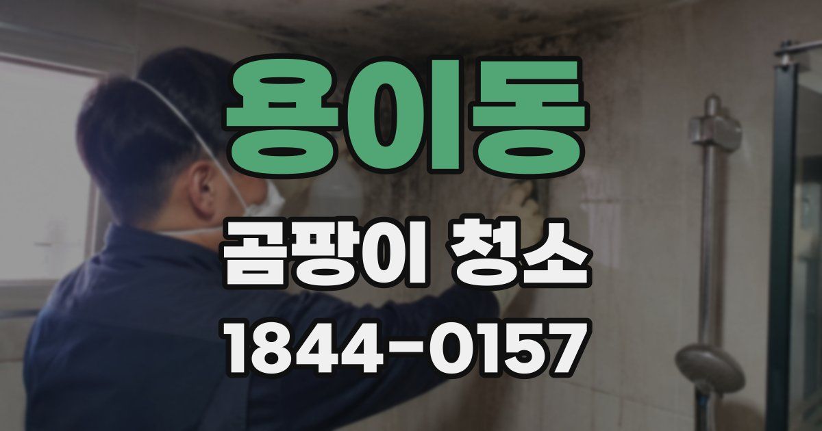 용이동 곰팡이 청소