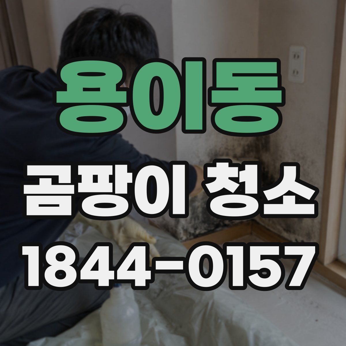 용이동 곰팡이 청소