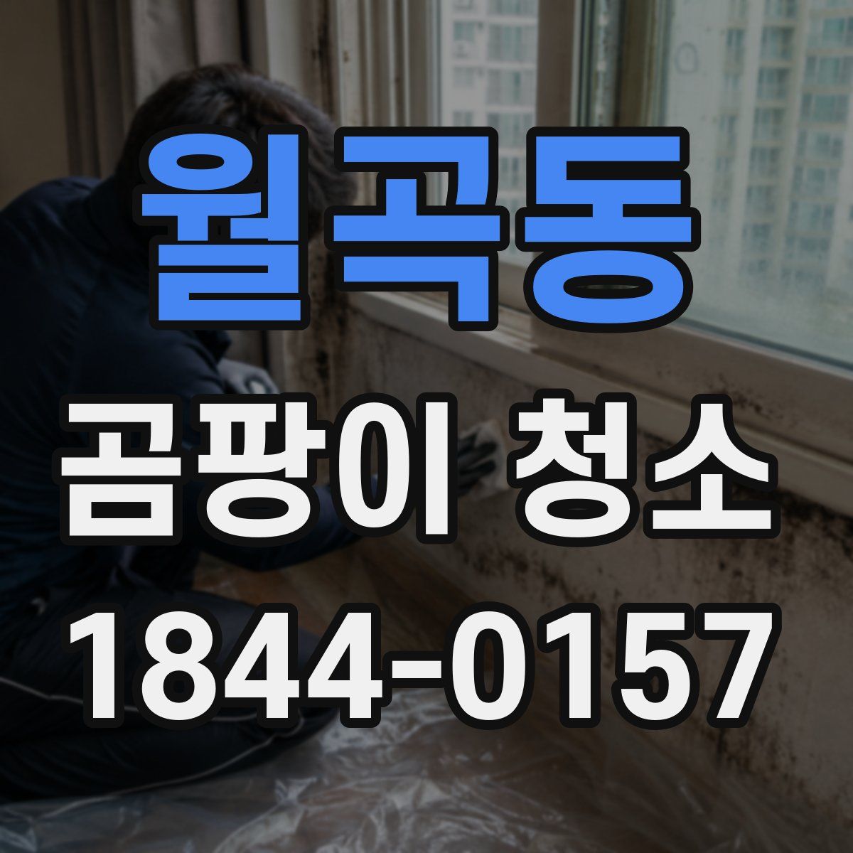 월곡동 곰팡이 청소