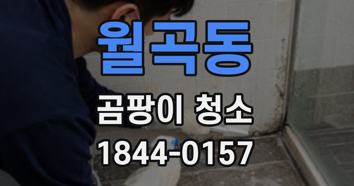 월곡동 곰팡이 청소