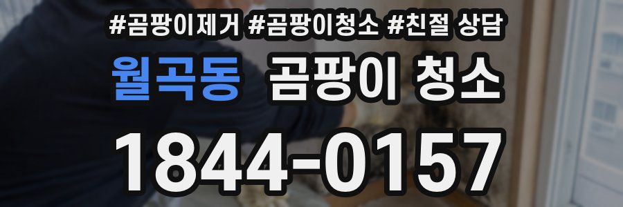 월곡동 곰팡이 청소