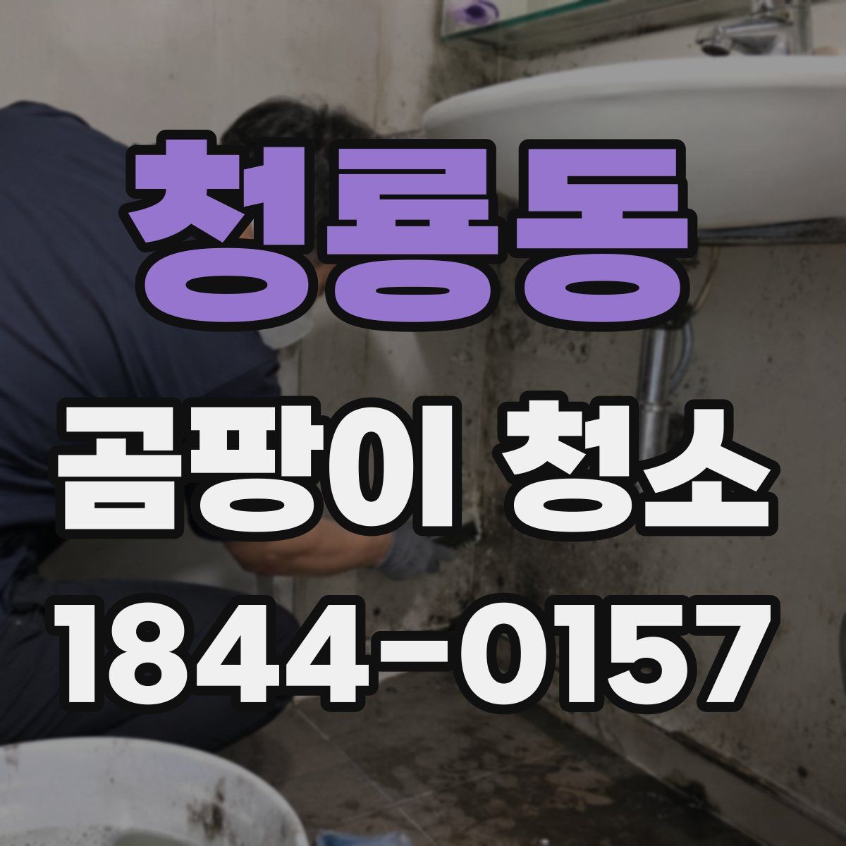 청룡동 곰팡이 청소