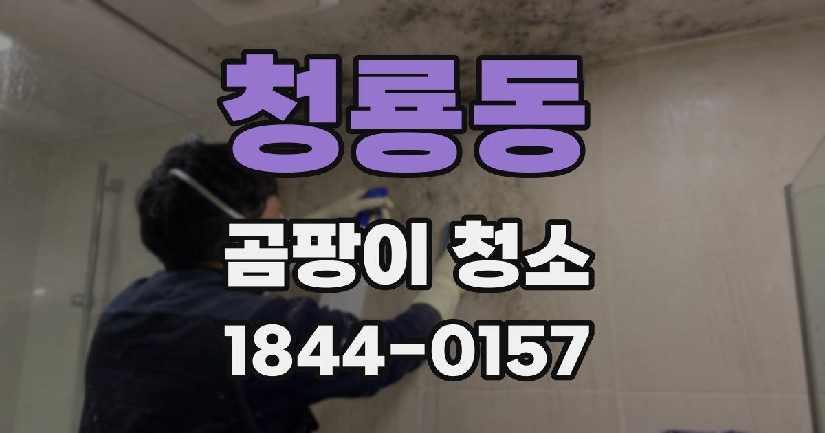 청룡동 곰팡이 청소