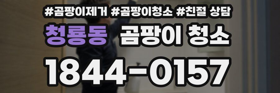 청룡동 곰팡이 청소