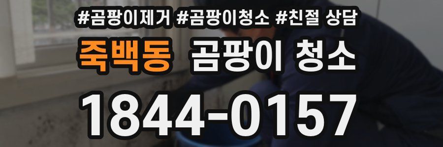 죽백동 곰팡이 청소