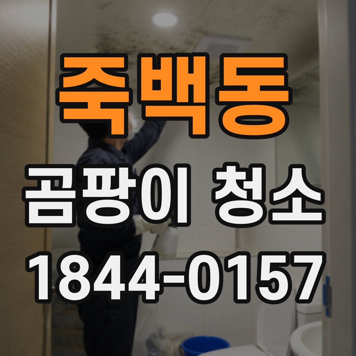 죽백동 곰팡이 청소