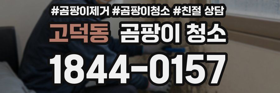 고덕동 곰팡이 청소