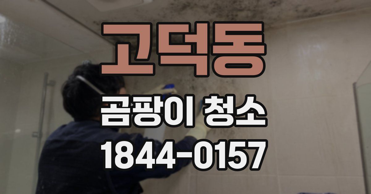 고덕동 곰팡이 청소