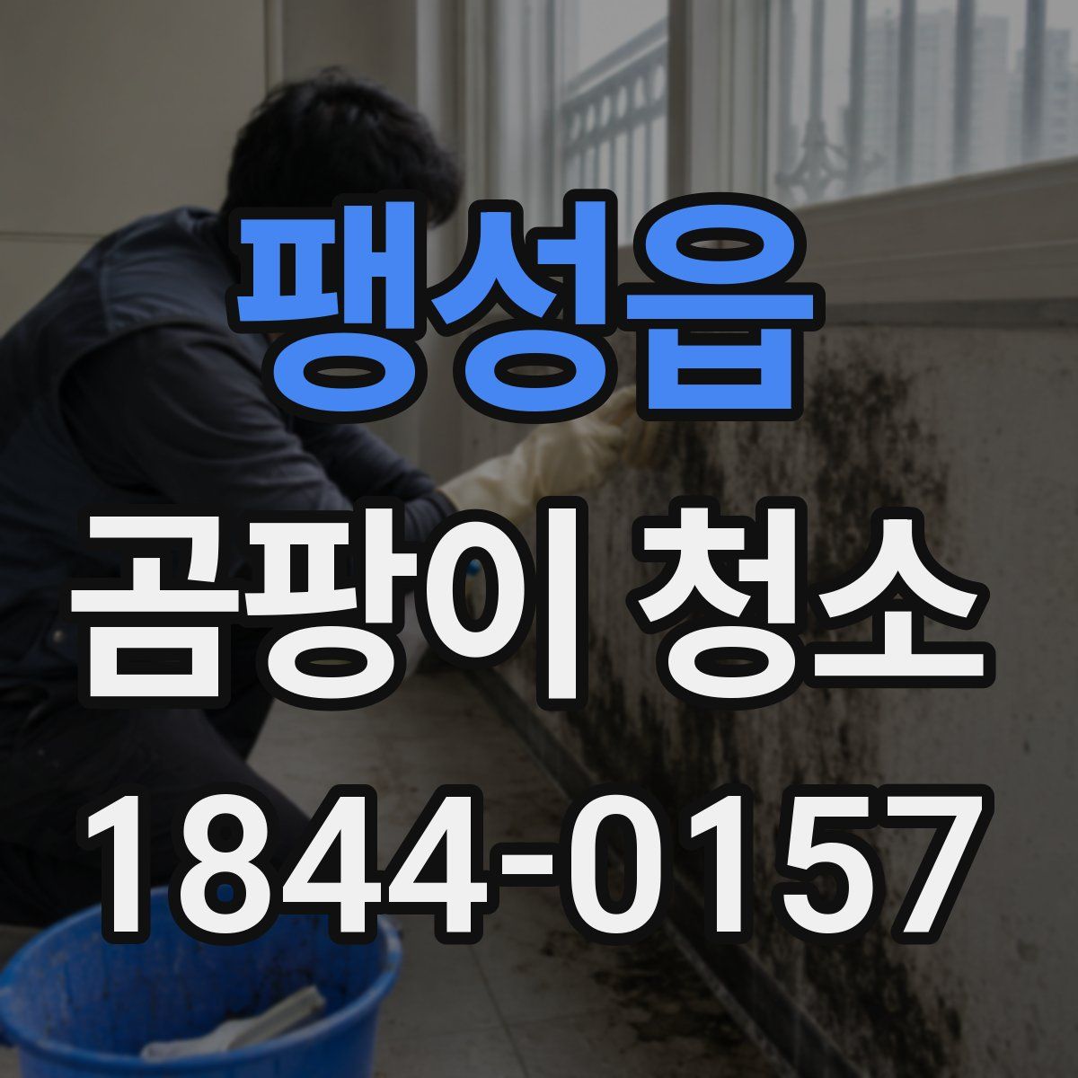 팽성읍 곰팡이 청소