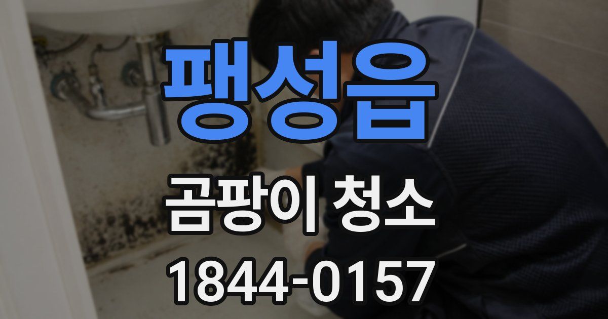 팽성읍 곰팡이 청소