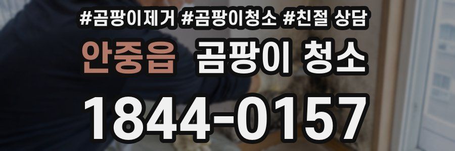 안중읍 곰팡이 청소