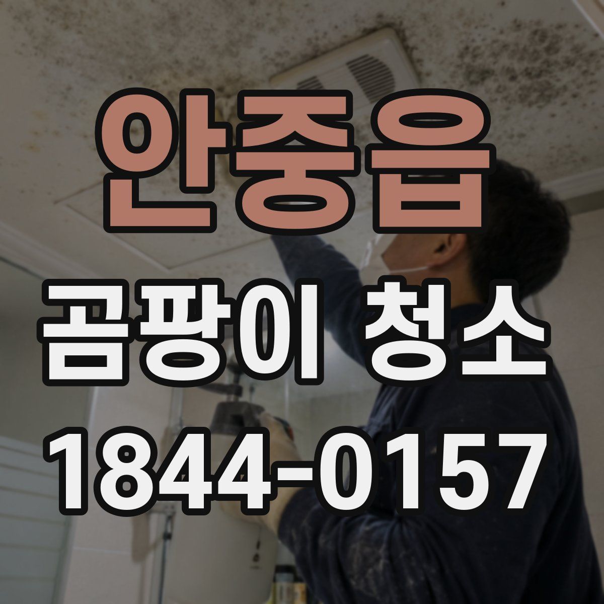 안중읍 곰팡이 청소