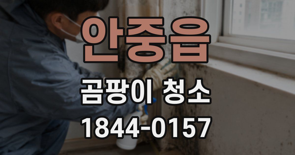 안중읍 곰팡이 청소