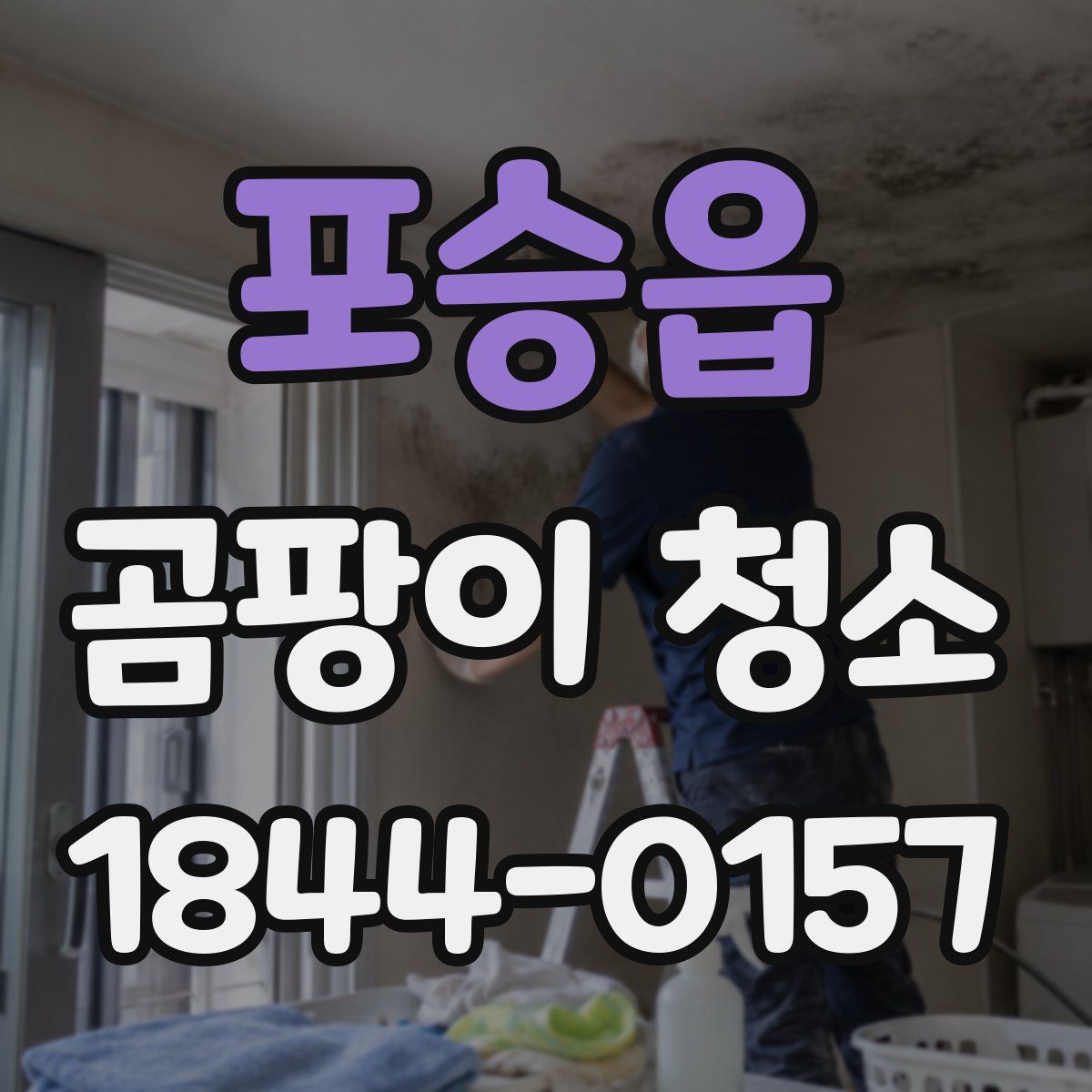 포승읍 곰팡이 청소