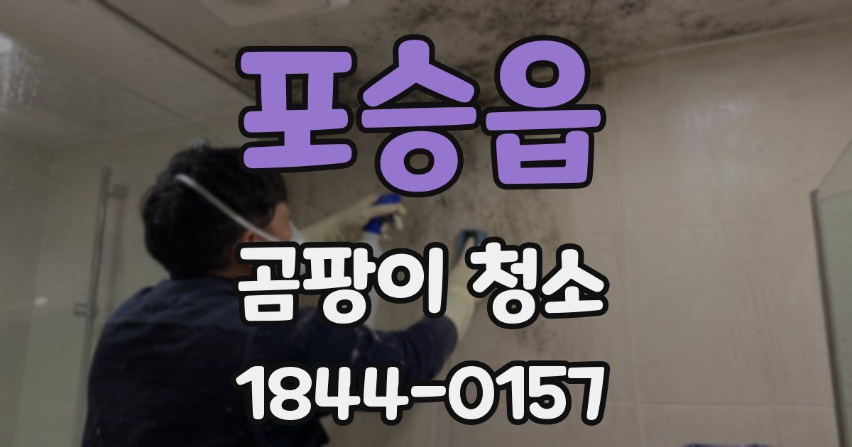 포승읍 곰팡이 청소