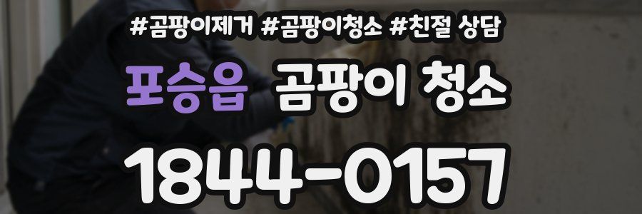 포승읍 곰팡이 청소