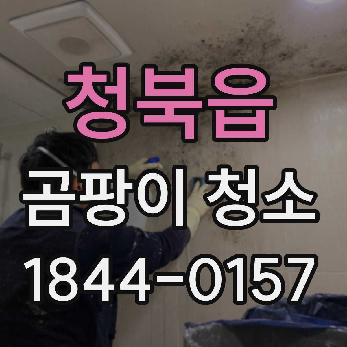 청북읍 곰팡이 청소