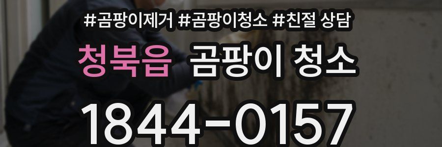 청북읍 곰팡이 청소