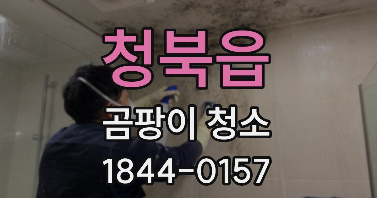 청북읍 곰팡이 청소