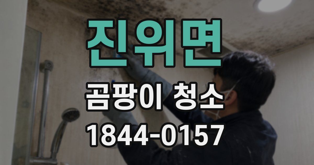 진위면 곰팡이 청소
