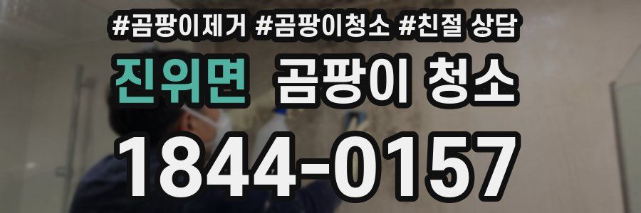 진위면 곰팡이 청소