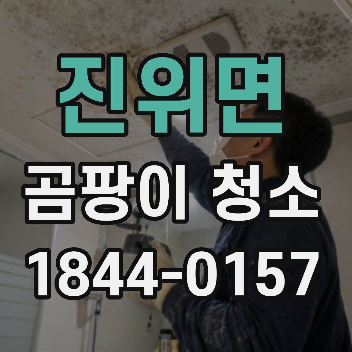진위면 곰팡이 청소