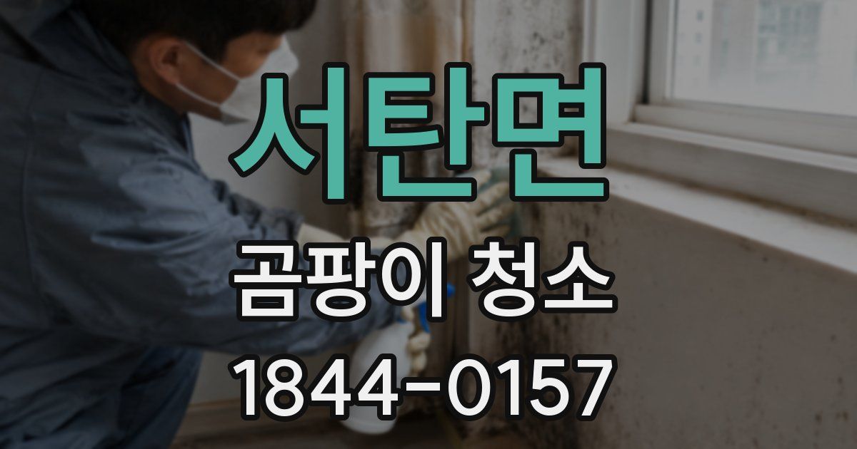 서탄면 곰팡이 청소