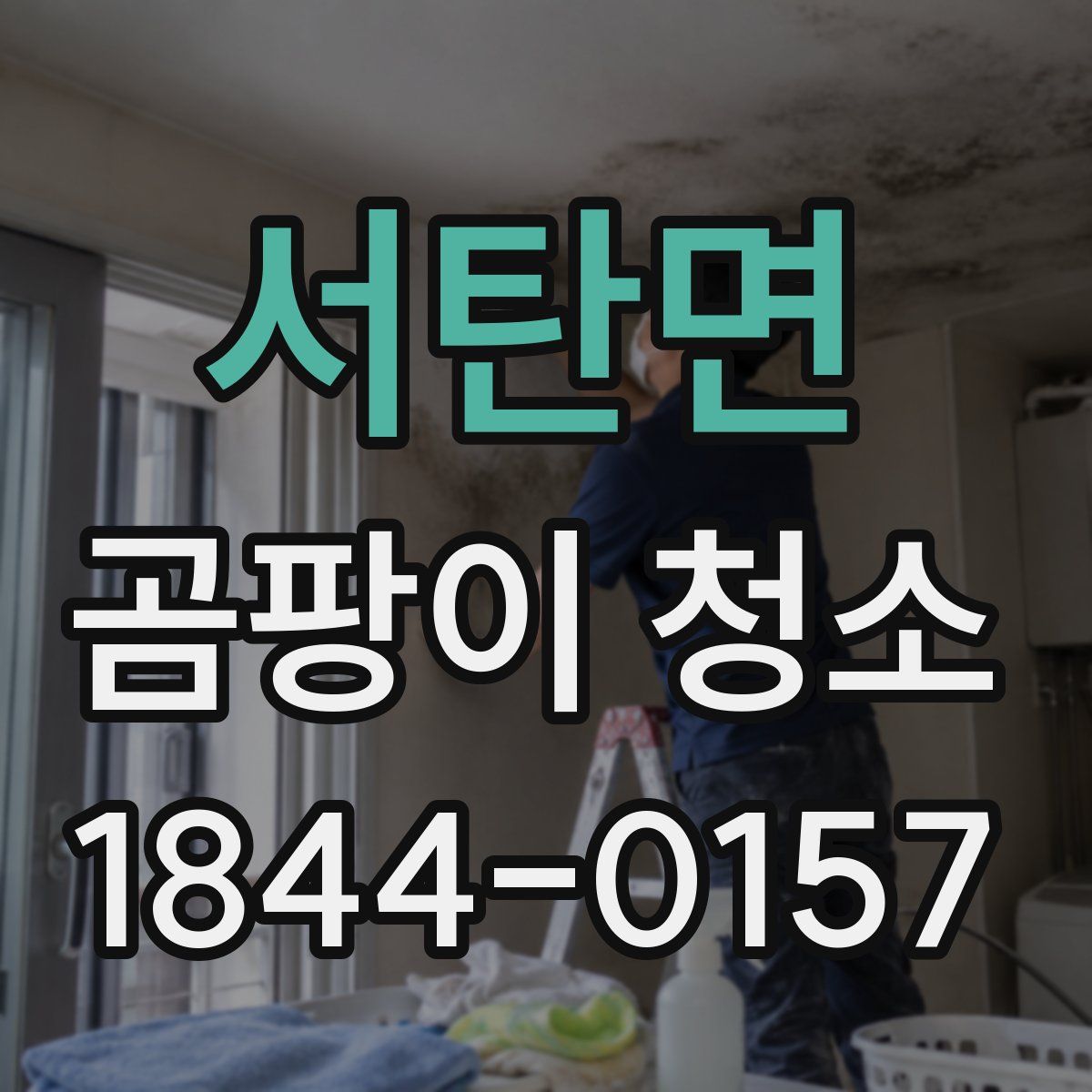 서탄면 곰팡이 청소