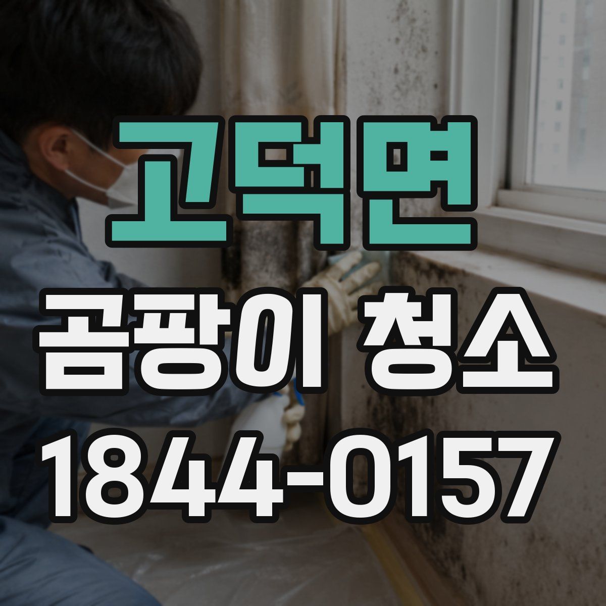 고덕면 곰팡이 청소