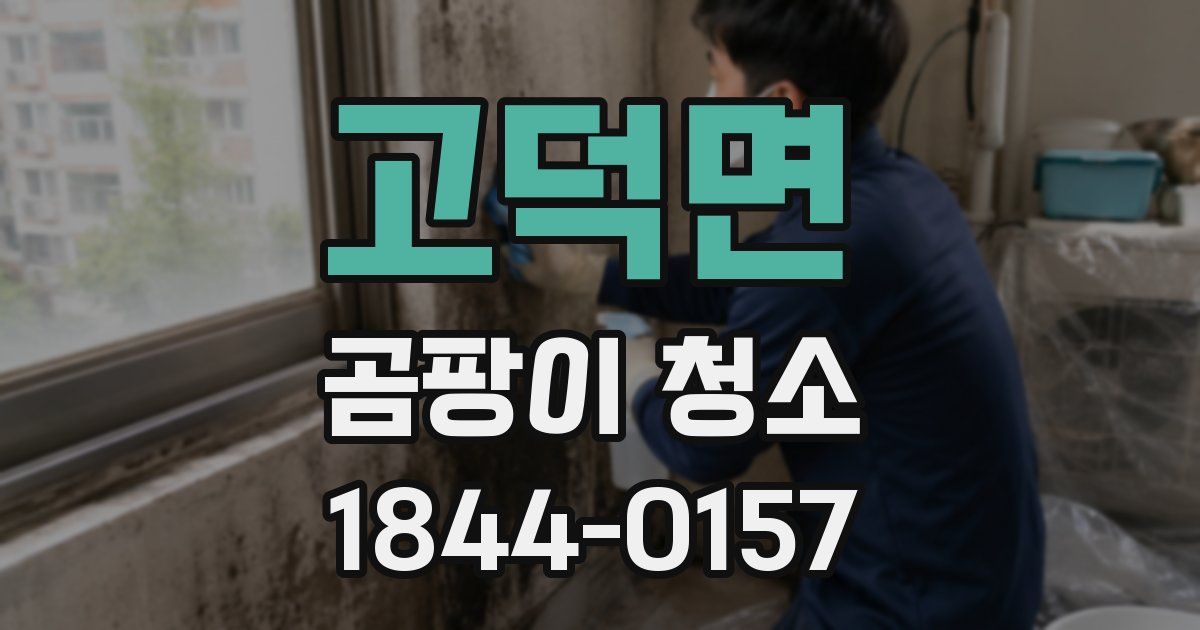 고덕면 곰팡이 청소