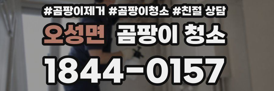 오성면 곰팡이 청소